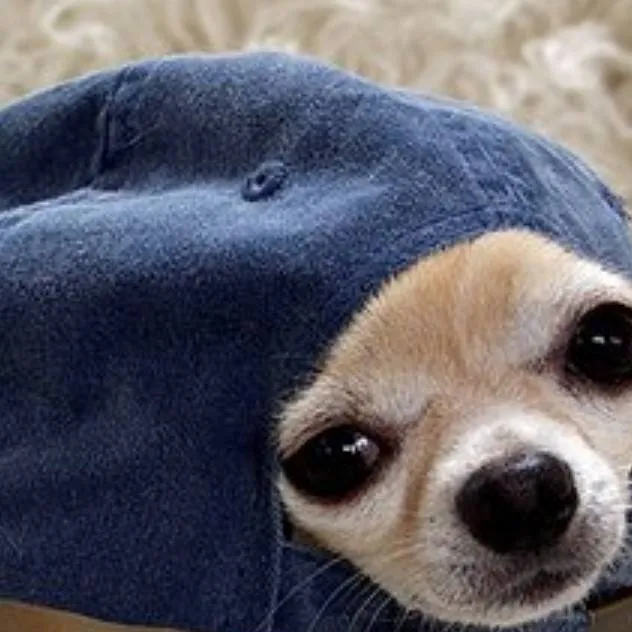 chat with ai character: idk what to nameit