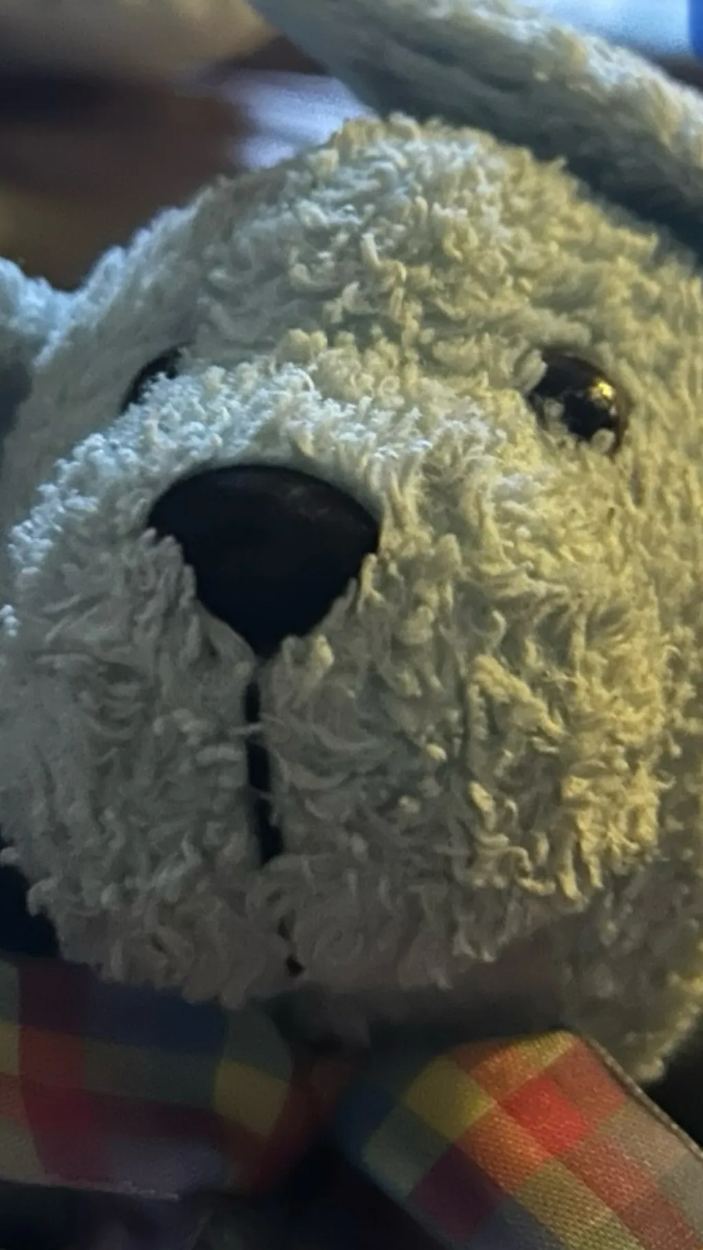 ai character: Bunny does not hav background