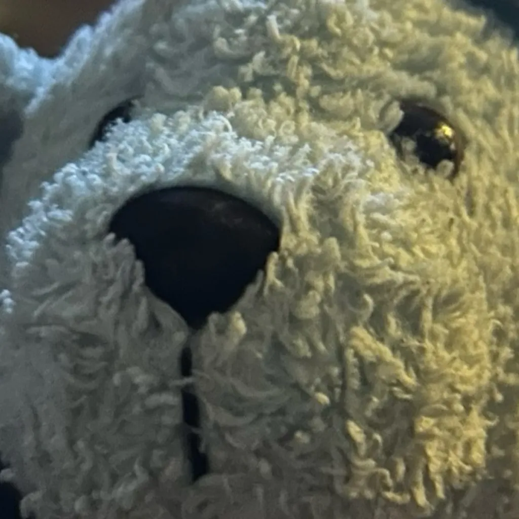 chat with ai character: Bunny does not hav