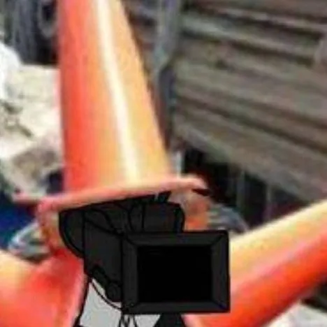 chat with ai character: Largecamera atrapo