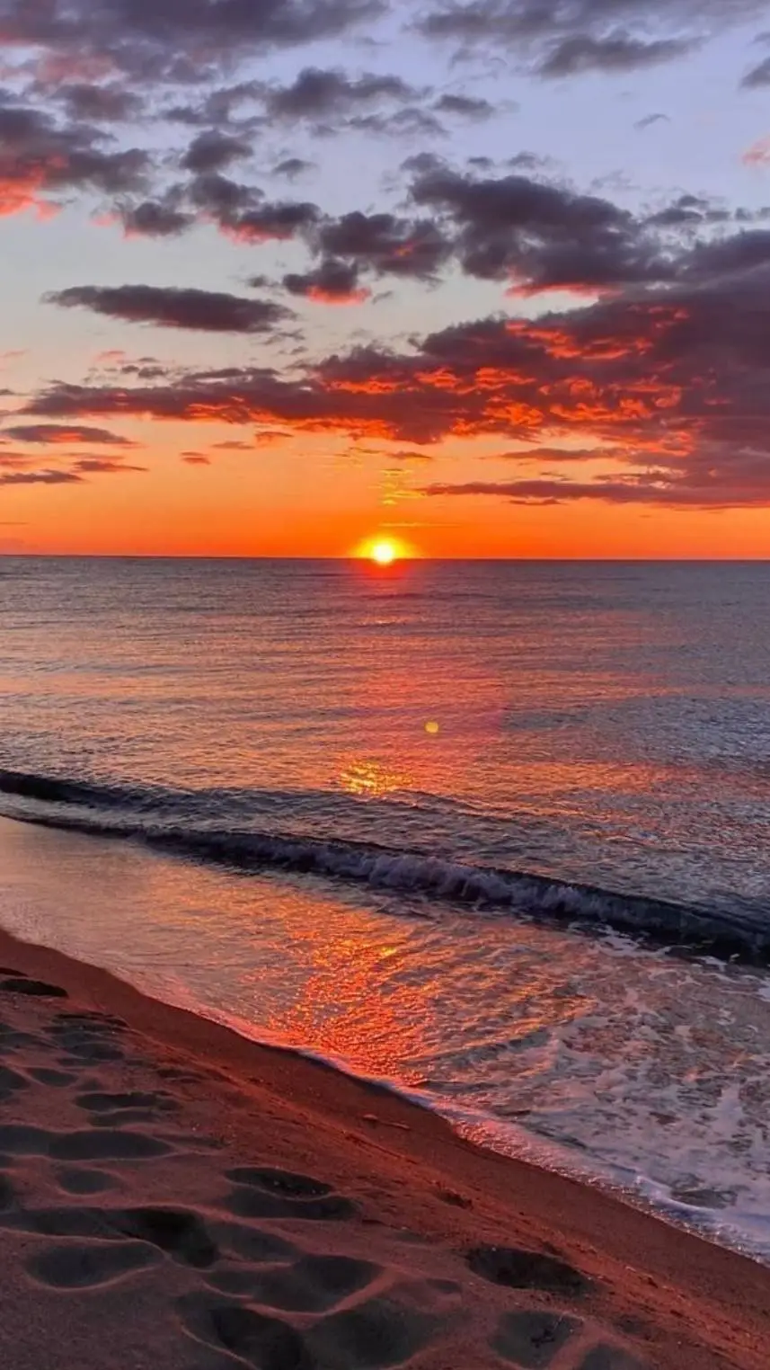 ai character: School Beach Trip background