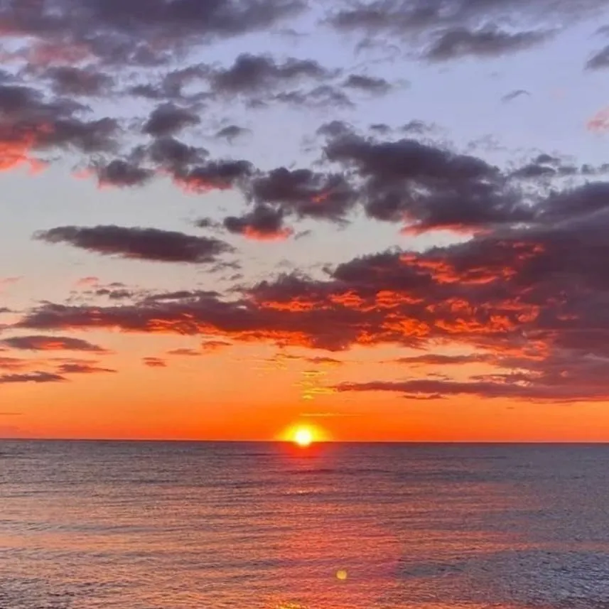 chat with ai character: School Beach Trip