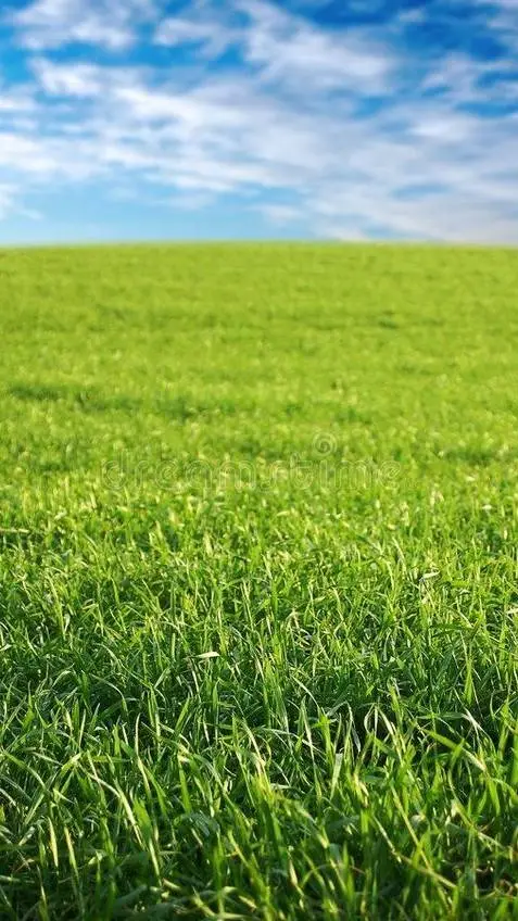 ai character: TALKIE IDEAS!  background