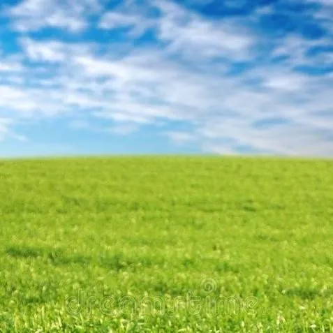 chat with ai character: TALKIE IDEAS! 