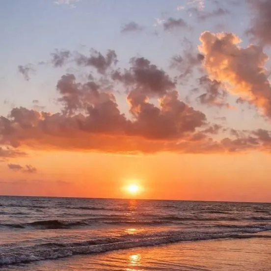 chat with ai character: ⛱️~(BEACH)~⛱️ 