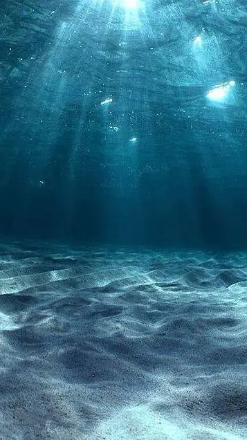 ai character: Sea life background