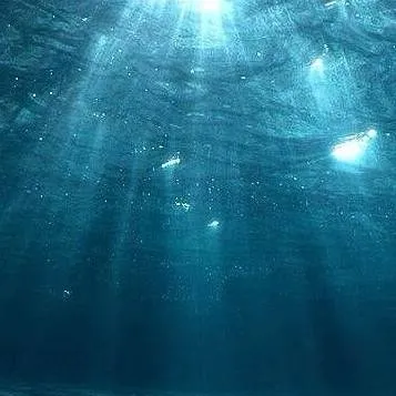 chat with ai character: Sea life
