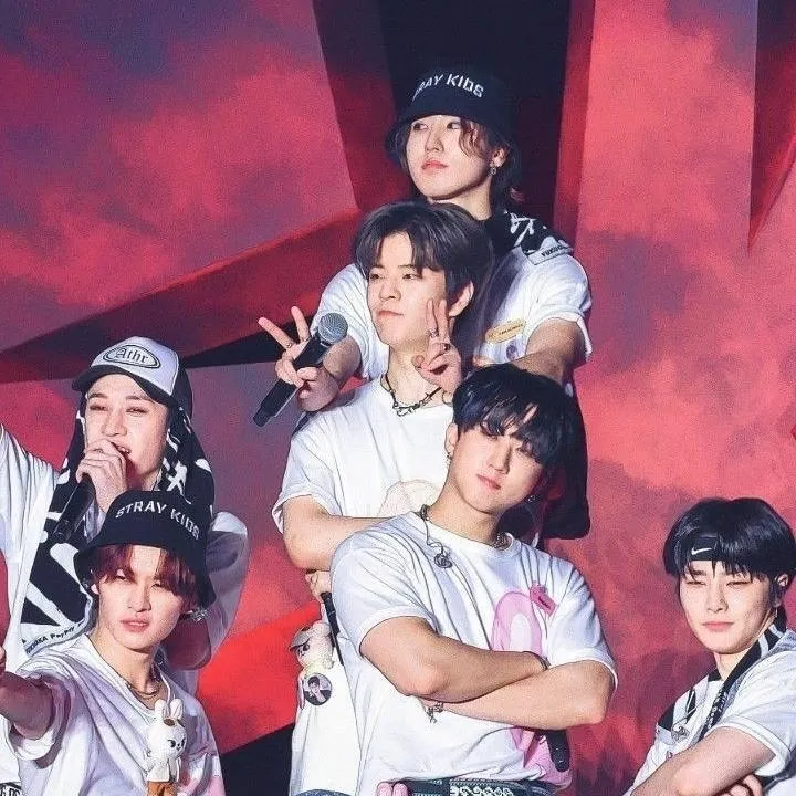 chat with ai character: ✨❤Stray Kids❤✨