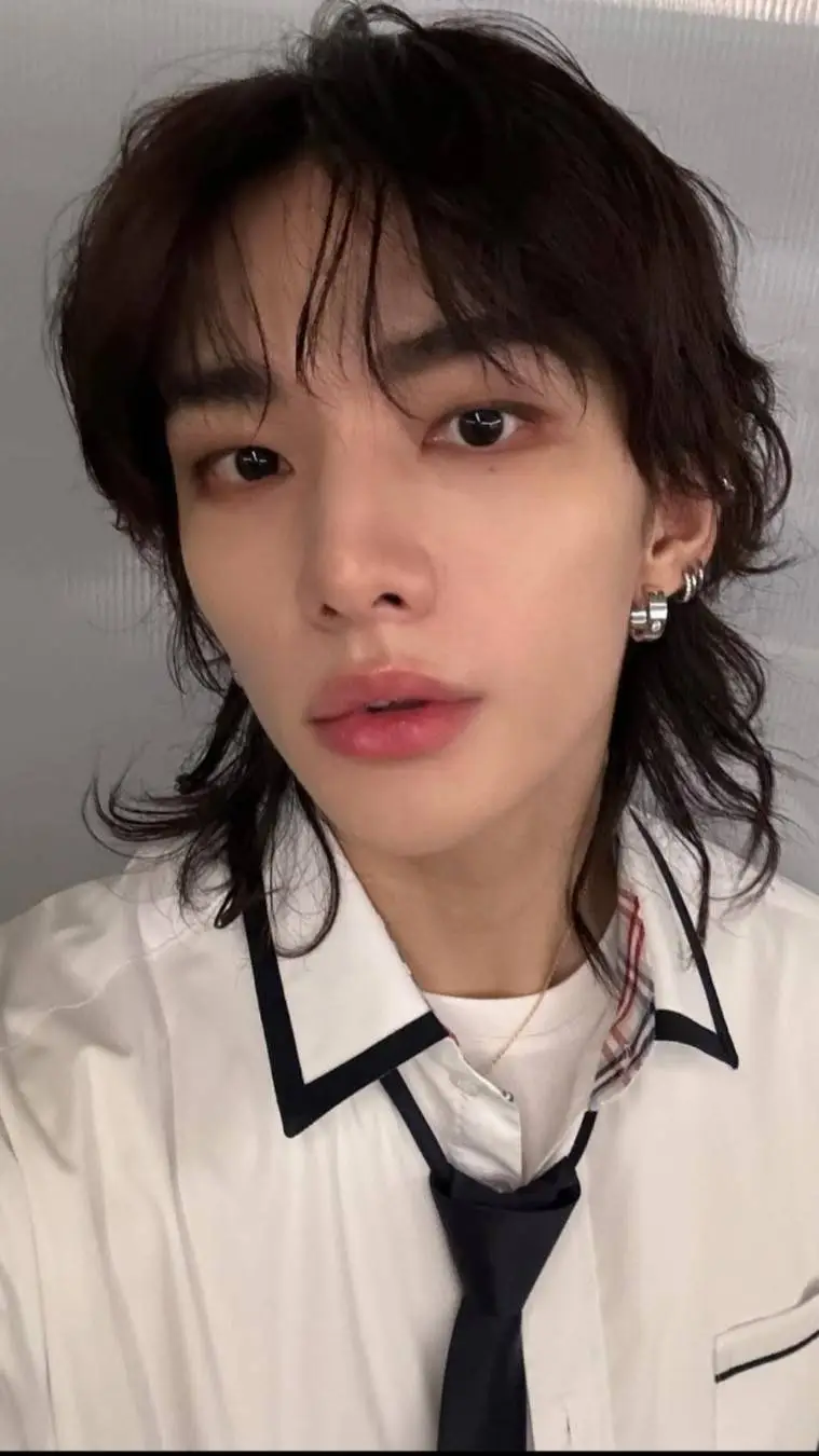 ai character: Hwang Hyunjin background