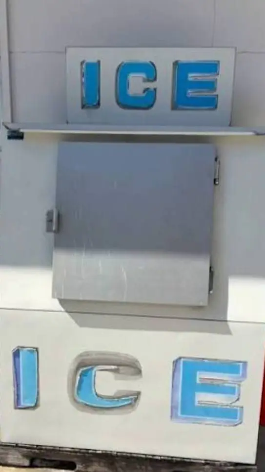 ai character: ICE 2 background