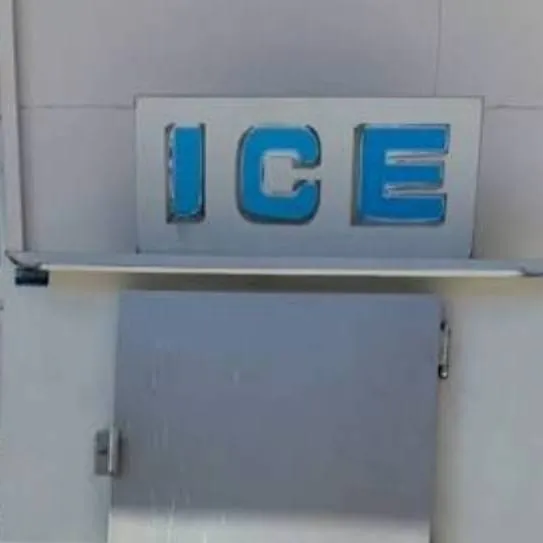 chat with ai character: ICE 2