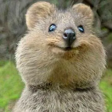 chat with ai character: Tu la limpiadora🥺