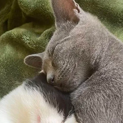 chat with ai character: how to be loved