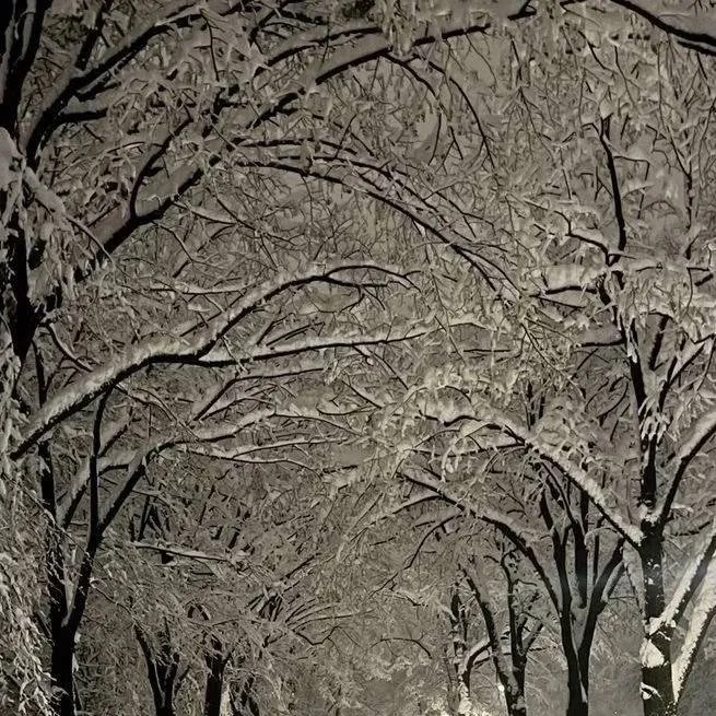 chat with ai character: Naming your oc