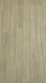 ai character: Miss watermelon  background