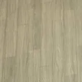 chat with ai character: Miss watermelon 