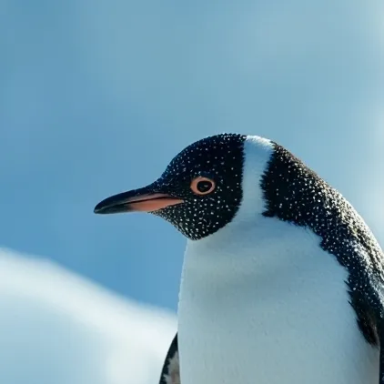 chat with ai character: Pengy