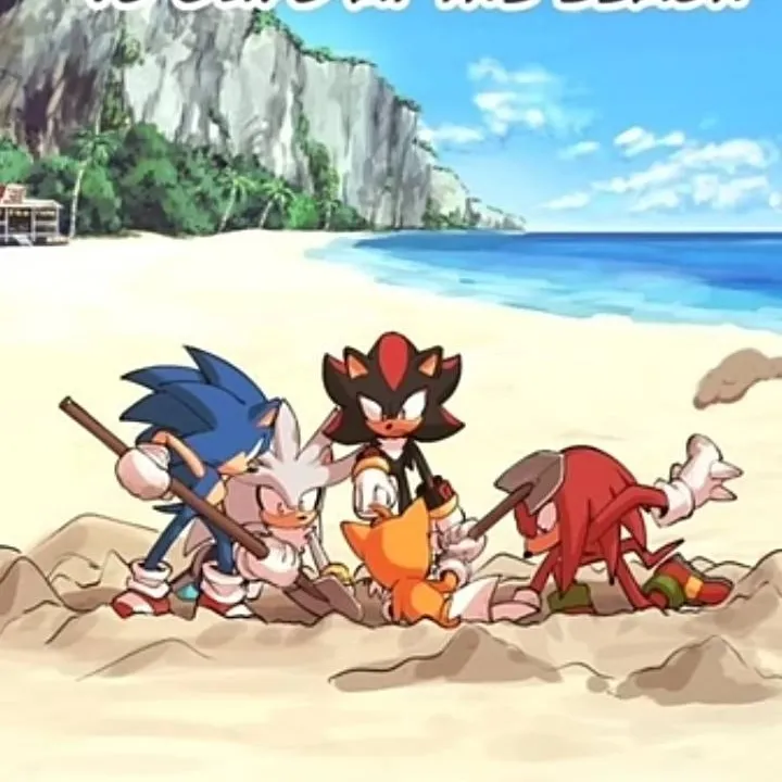 chat with ai character: Sonic beach