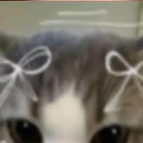 chat with ai character: Kpop gc!