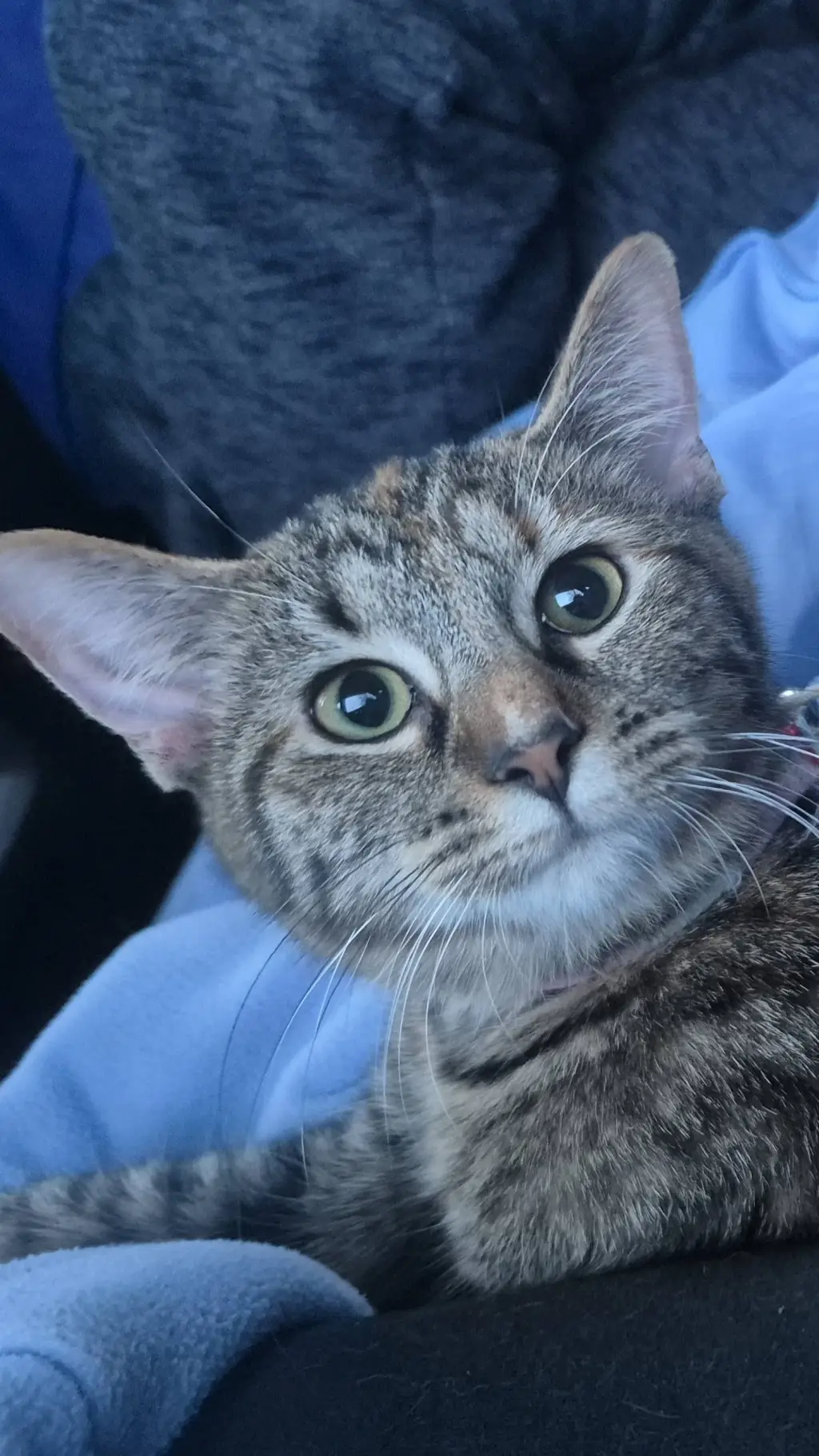 ai character: coffee bean  background