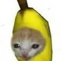 chat with ai character: gato banana 🍌😺