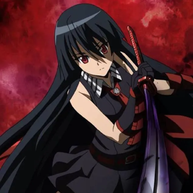 chat with ai character: Akame 