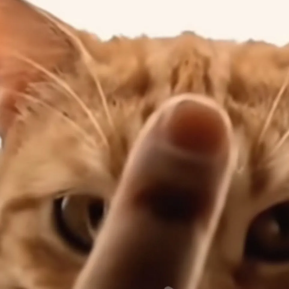 chat with ai character: Cat Idc