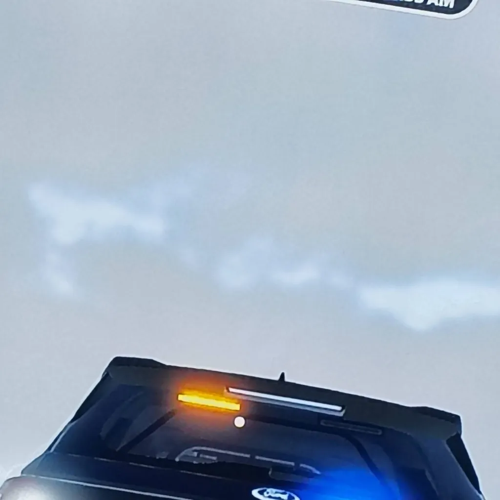 chat with ai character: LCSO (rbx)