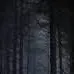 chat with ai character: the dark figure