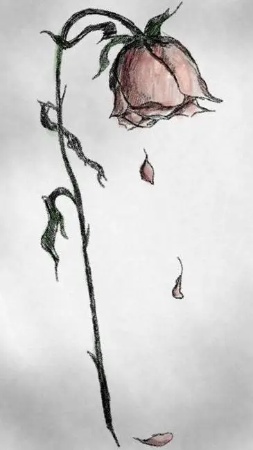 ai character:  se libre🏳️‍🌈 background