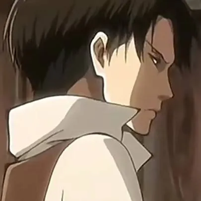 chat with ai character: Aot Captain