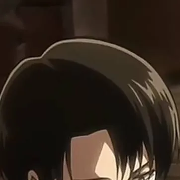 chat with ai character: Aot(attack titan)