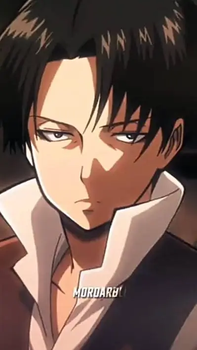 ai character: Levi Ackerman's background
