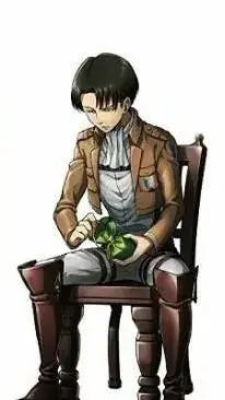 ai character: Levi Ackerman background