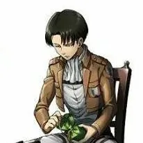 chat with ai character: Levi Ackerman