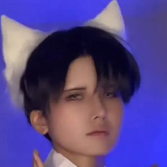 chat with ai character: 레비 애커만