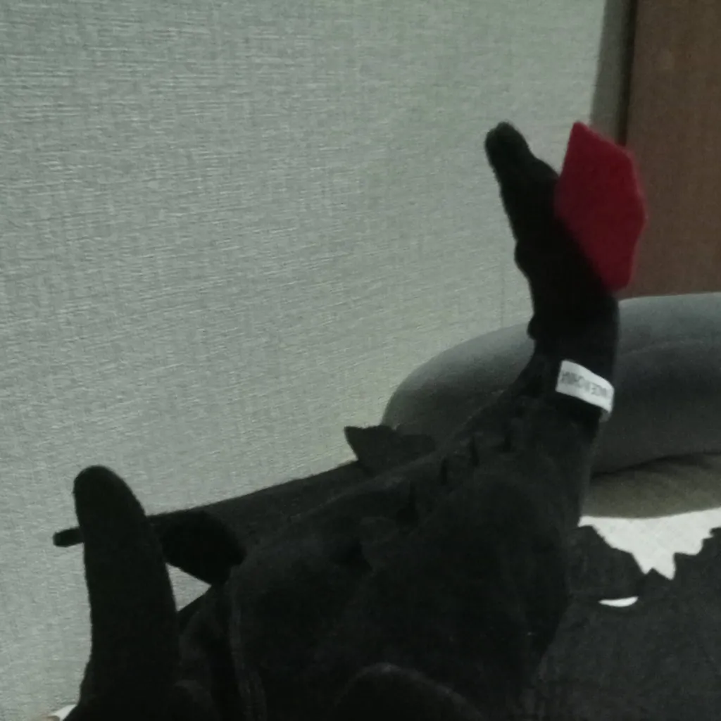 chat with ai character: toothless