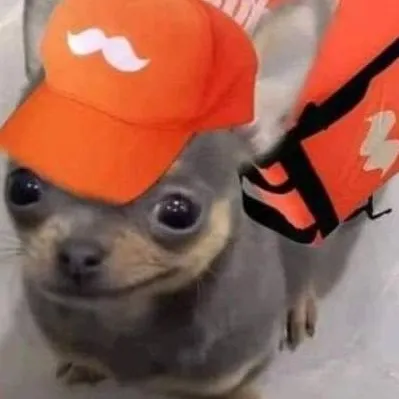 chat with ai character: chihuahua 