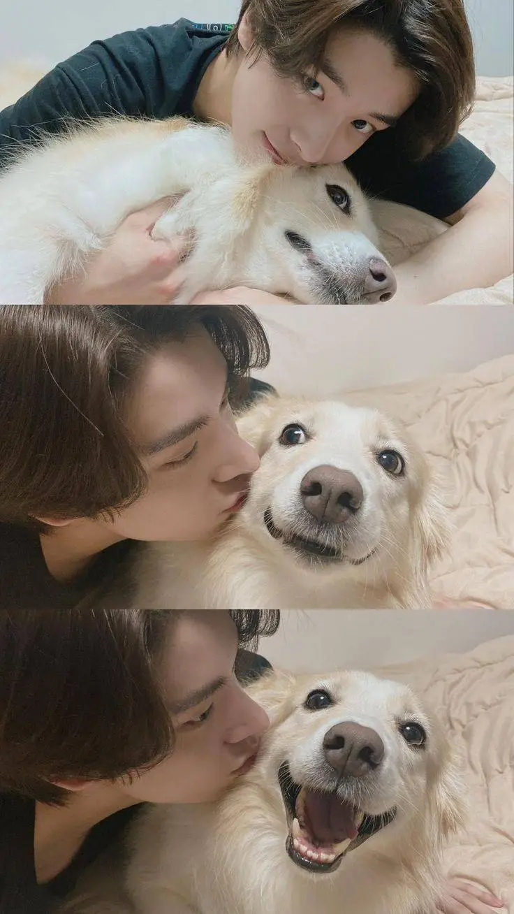 Talkie AI - Chat with Sim Jaeyun