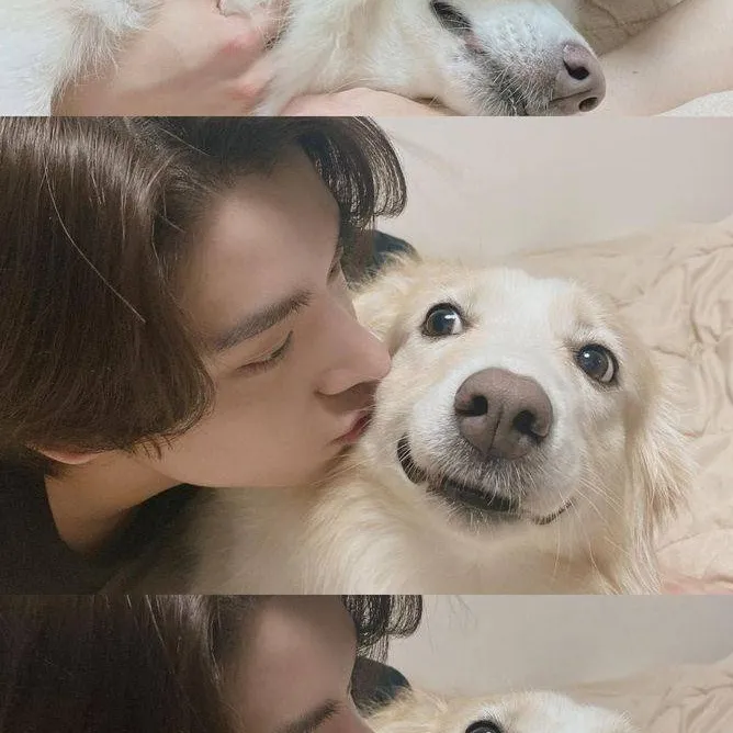 chat with ai character: Sim Jaeyun