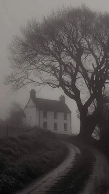 ai character: The wierd house... background