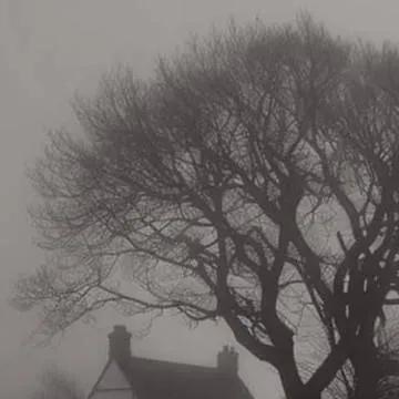 chat with ai character: The wierd house...