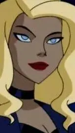 ai character: Black Canary background