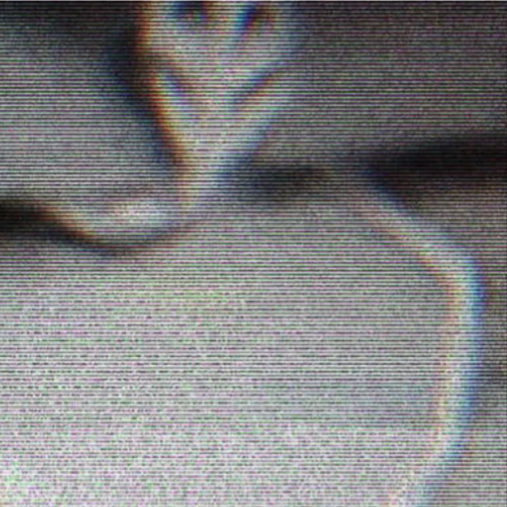 chat with ai character: Fleshbed