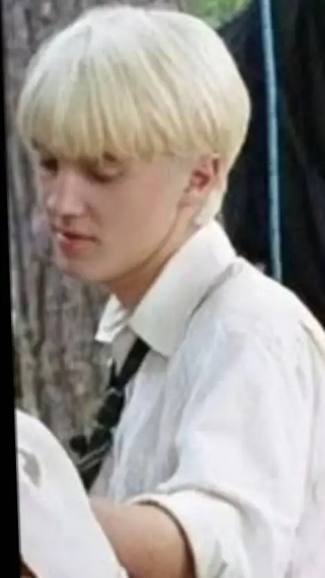 ai character: draco malfoy background