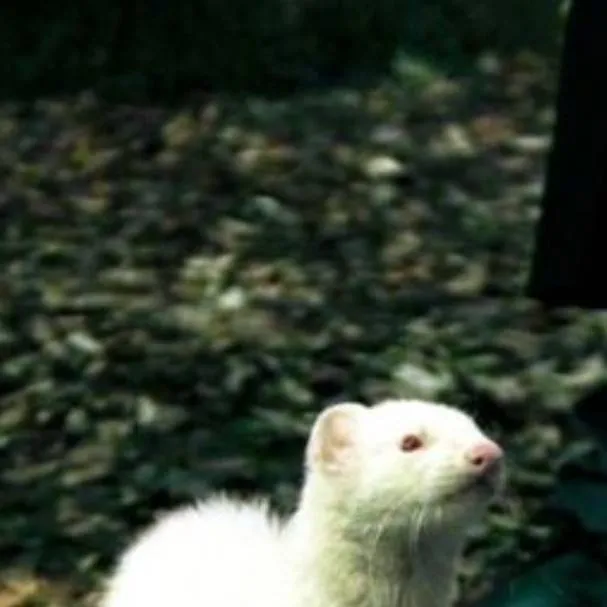 chat with ai character: William lee