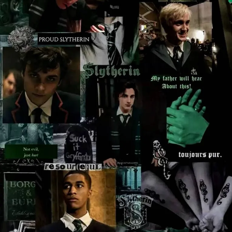 chat with ai character: 🖤SLYTHERIN💚
