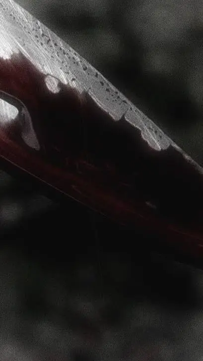 ai character: Jeff and EJ wife  background