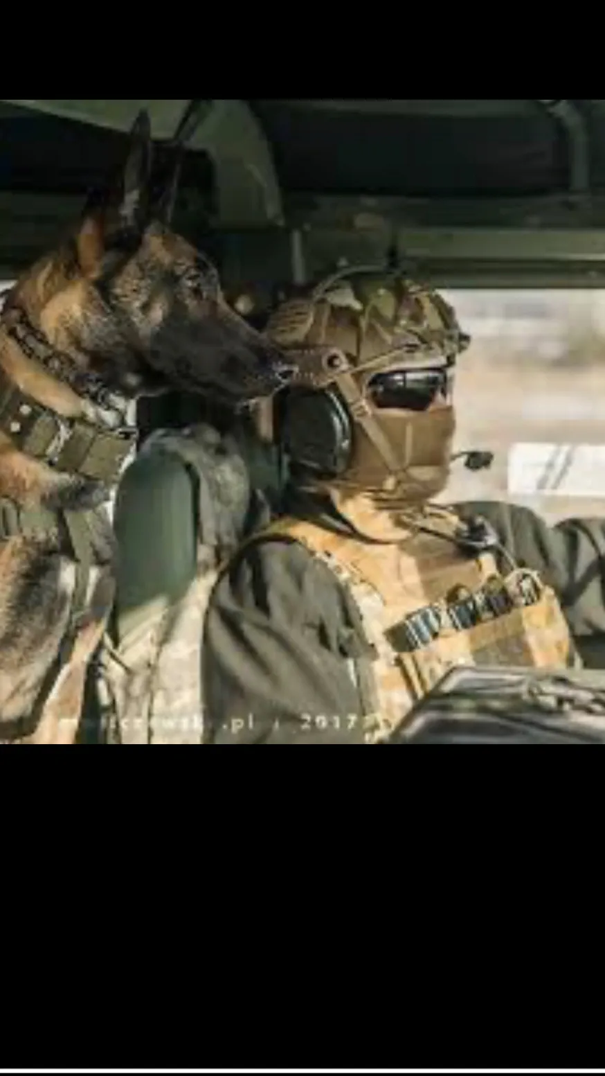 ai character: Макс background