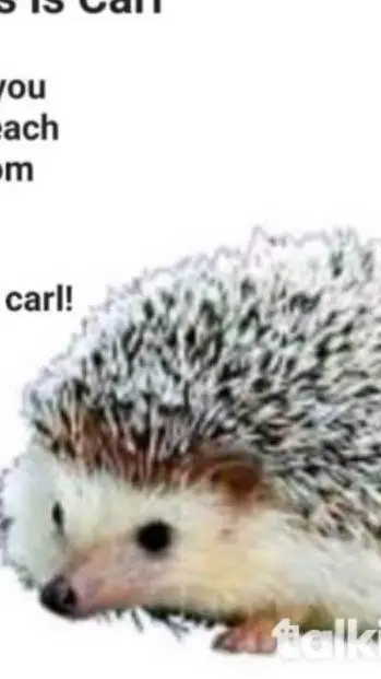 ai character: Carl background